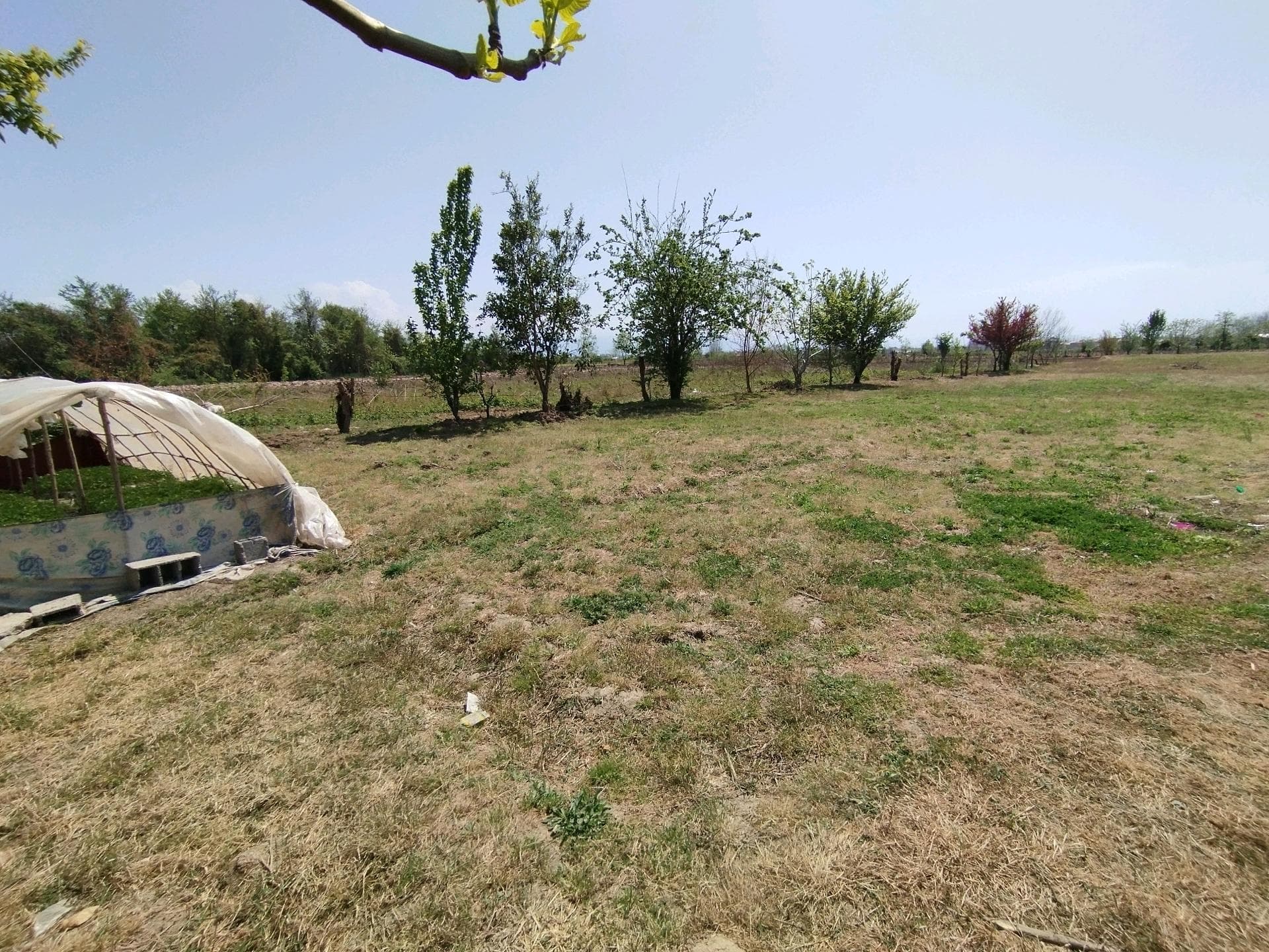 property-image