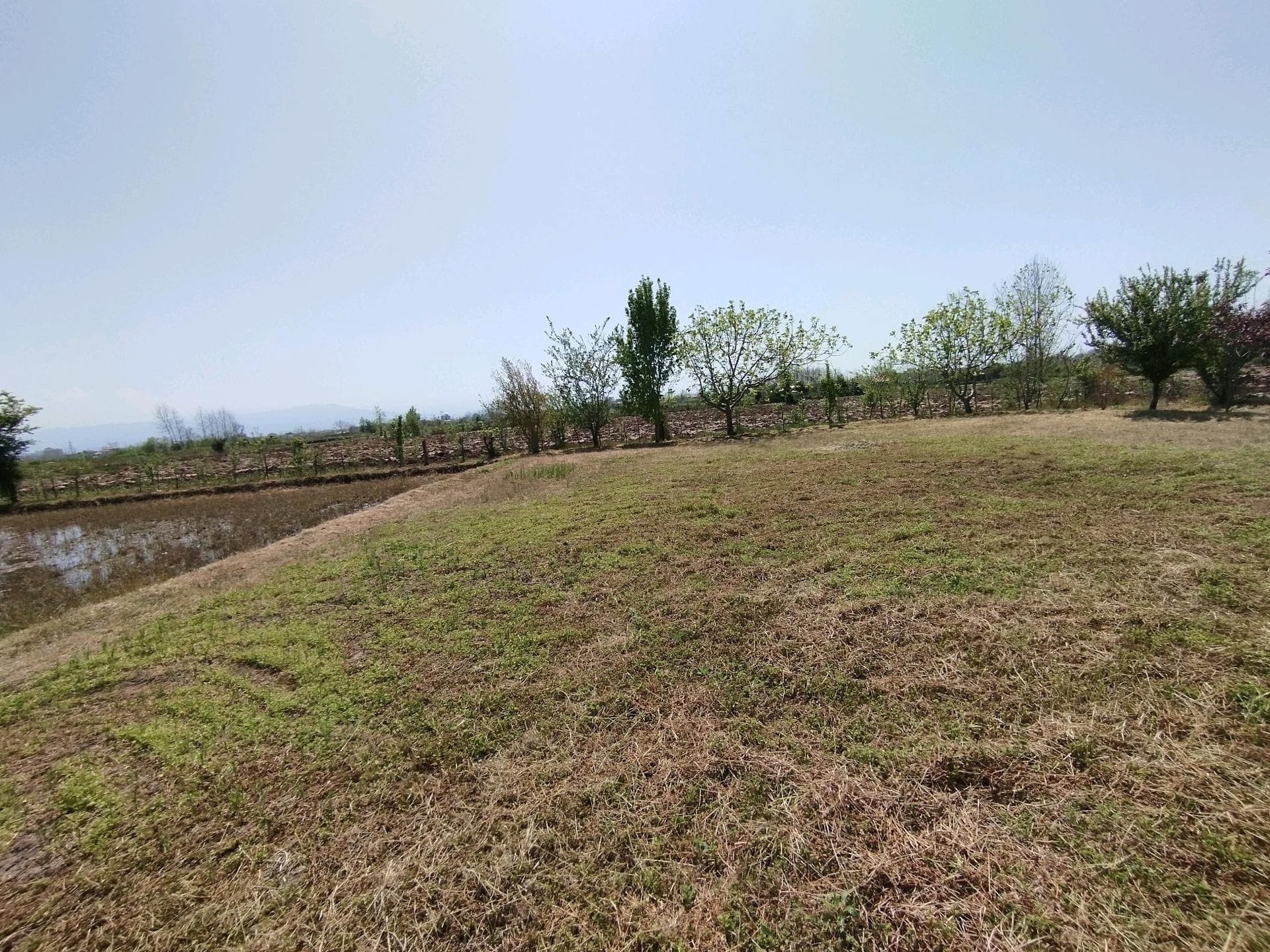 Property media 9