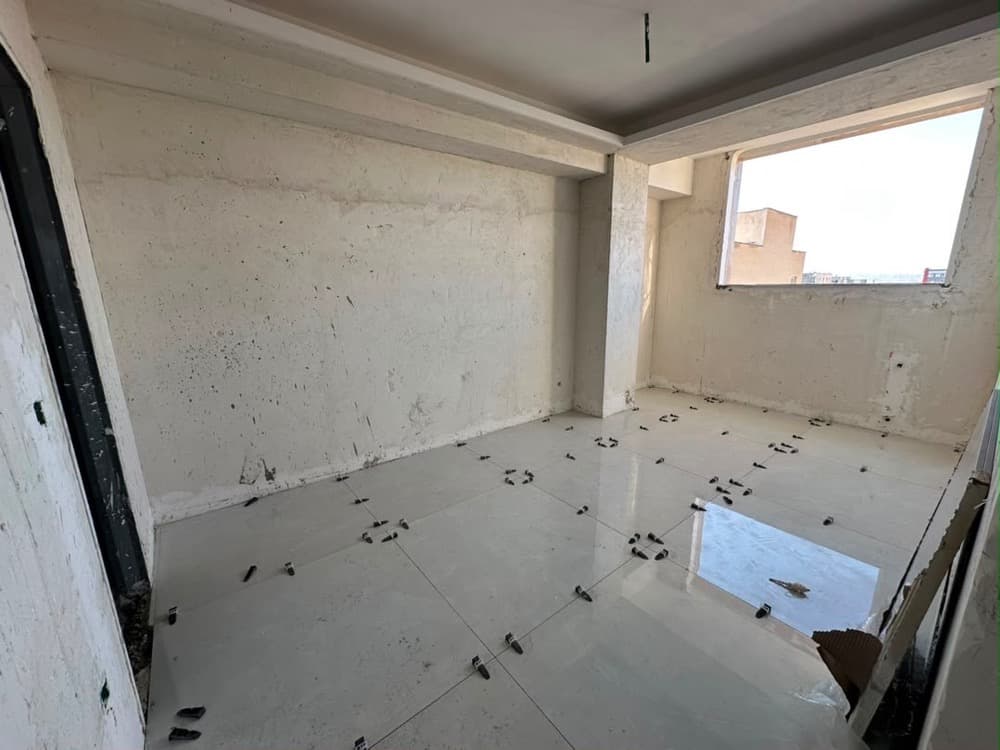 Property media 6