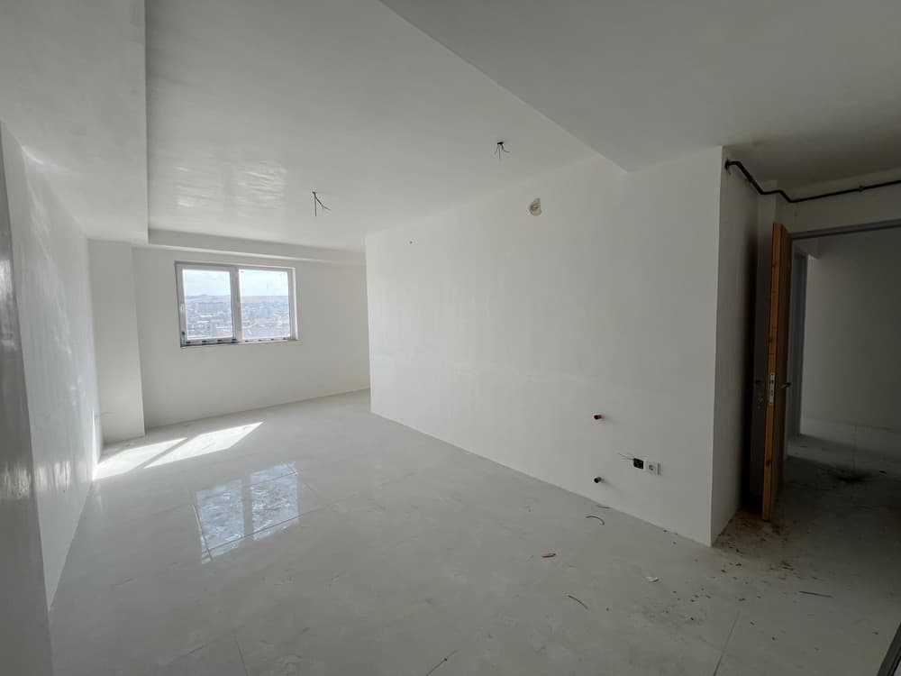 Property media 11